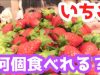 【夢の企画】いちご?何個食べれるかやってみた！