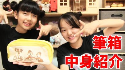 【ハイテンション！】 筆箱の中身紹介  【さきちゃん編】