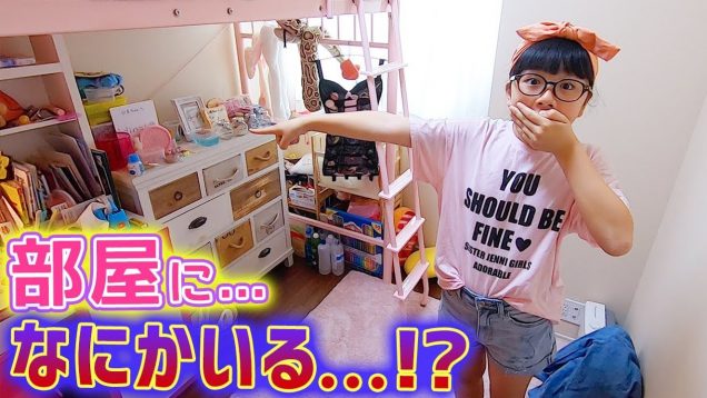 【家中〇〇だらけ!】リビングや部屋に…何かいるし！つかまえろー！【すみっコさがし】