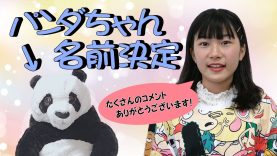 【決定】パンダちゃんの名前大発表！