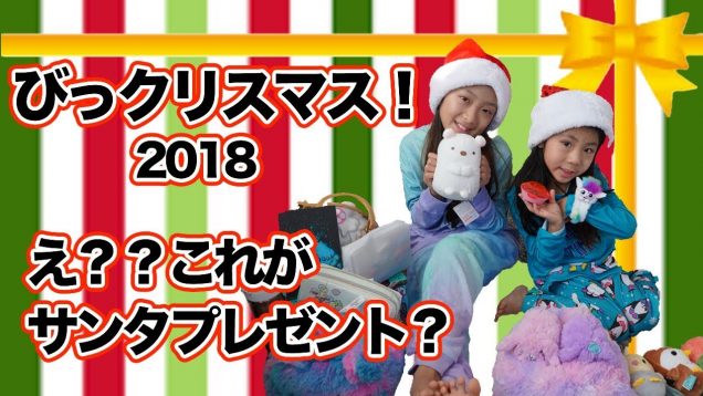 【アメリカ】びっクリスマス！偽サンタにえみありだまされる?! ☆ Surprising Christmas 2018