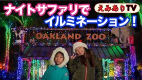 【アメリカ】夜の動物園にイルミネーションを見に行こう！☆【Family Fun Night 】Christmas Lights 2018 @ Oakland Zoo