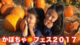【アメリカ☆パンプキンパッチ】かぼちゃフェスティバルに行ってきたよ ☆ Pumpkin Patch at UESUGI Farm