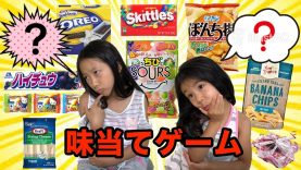 【めかくしで味当て】お菓子の味当てゲームにチャレンジ！☆ Blindfold Snack challenge