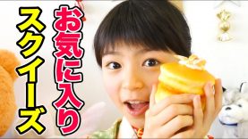 【小学４年生】お気に入りのスクイーズ紹介！