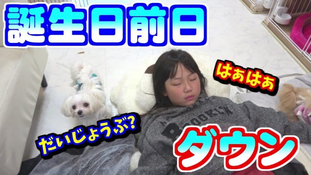 【ヘイヘイドクター】一体どうすれば…楽しいはずの誕生日が一転、誰かアドバイスください…【しほりみチャンネル】