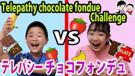 ⚠️絶叫注意⚠️テレパシーチョコフォンデュチャレンジ✨Twin Telepathy chocolate fondue Challenge【ベイビーチャンネル 】
