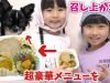 チワワにお弁当あげたら食べる？ご褒美にたまにはいいんじゃない？♪