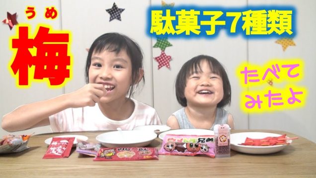 梅あじの駄菓子７種類を食べてみたよ【１位と２位は？】