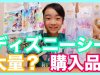 ディズニーシー☆ダッフィーシリーズの購入品紹介！ベイビーあんチャンネル