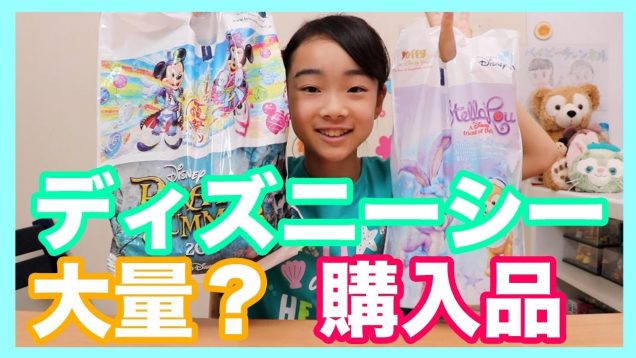 ディズニーシー☆ダッフィーシリーズの購入品紹介！ベイビーあんチャンネル