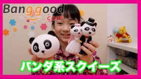 【海外通販バングッド】パンダが結婚する⁈新ブランドはさらに２割引クーポンあり☆ ベイビーあんチャンネル、banggood