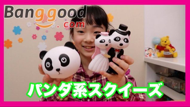 【海外通販バングッド】パンダが結婚する⁈新ブランドはさらに２割引クーポンあり☆ ベイビーあんチャンネル、banggood