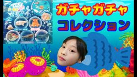 ぷにっとキモカワ深海魚！！
