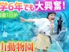 北海道旅行1日目♪日本一人気の動物園「旭山動物園」は小6女子も大興奮なところだった！