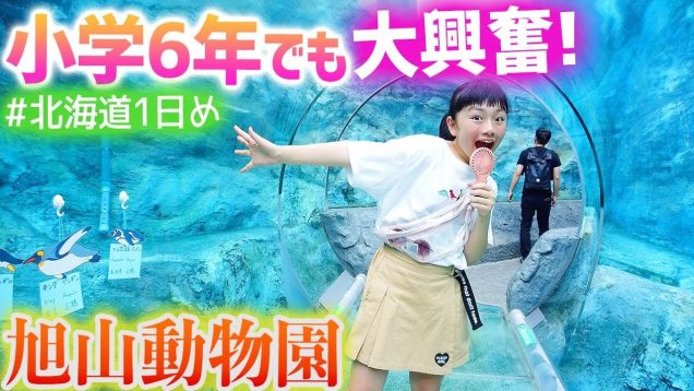 北海道旅行1日目♪日本一人気の動物園「旭山動物園」は小6女子も大興奮なところだった！