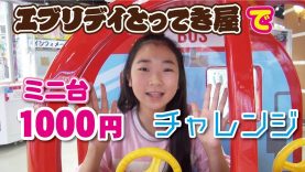 【1000円チャレンジ】クレーンゲームのミニ台でいくつ取れるか❣❣　エブリデイとってき屋