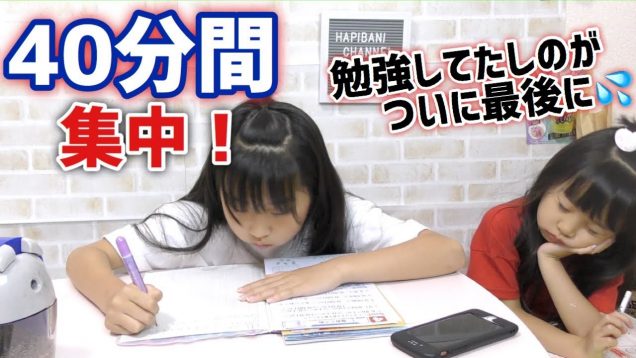 【勉強動画】夏休み宿題40分BGMなし！今回はしのも一緒に勉強♪しかし！最後にはまさかの結末がw