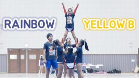 제6회 서초구치어리딩대회 | 레인보우컴퍼니 옐로우비 Yellow B (초등그룹스턴트) Filmed by lEtudel