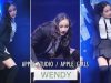 [키즈] DNA 방탄소년단 | WENDY 웬디 of 대만 걸그룹 APPLE GIRLS (臺灣, TAIWAN) 애플걸스 | BTS Cover Filmed by lEtudel