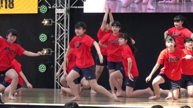 愛知淑徳中学校 FOR 2018.03.17