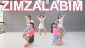「K-Pop」 초등학생이 추는 Red Velvet (레드벨벳) – ZIMZALABIM (짐살라빔) Dance Cover