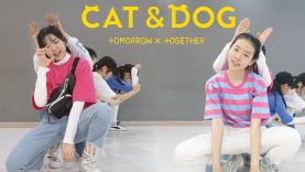 「K-Pop」 TXT – Cat & Dog Dance Cover / 투모로우바이투게더 – 캣앤독 안무 [THE J]