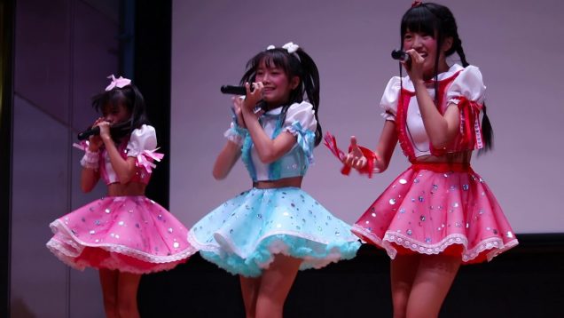 一眼レフでアイドルライブを動画撮影してみた②　手持ち編