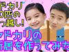 【引っ越し】10匹のヤドカリがもっと大きな新居に引っ越し!★引っ越し屋ゆいなと助手がお手伝い!★