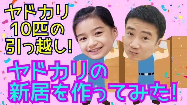 【引っ越し】10匹のヤドカリがもっと大きな新居に引っ越し!★引っ越し屋ゆいなと助手がお手伝い!★