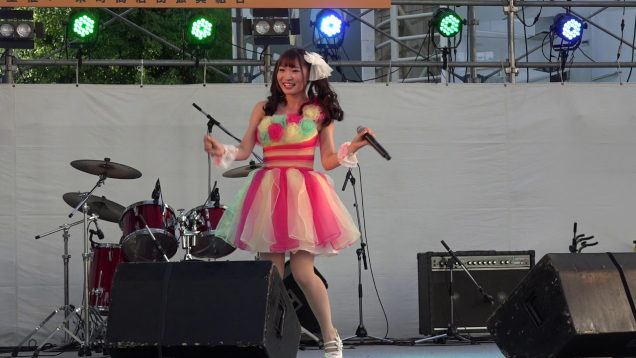 まいまい  2017.08.19  広小路祭り