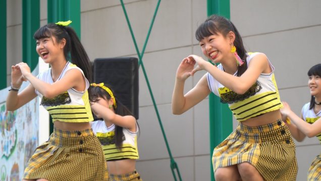 【4K】IM ZIp @たかまちアイドルフェスタ 2019.05.03