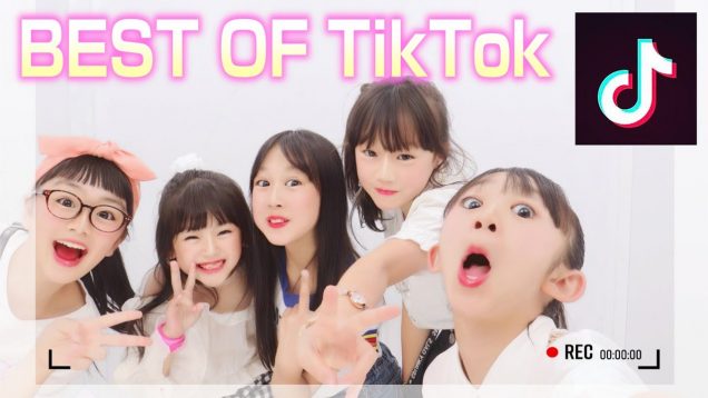 BEST of TikTok 〜 小学生ティックトッカー『しほりみ』ティックトックTOP 30 / tiktok music dance 2019【しほりみチャンネル】