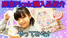 【原宿Picnic】購入品紹介☆やってみた!★Picnic Harajyuku Squishy ＆ Korean Slime