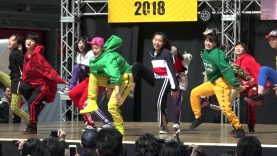 椙山女学園中学校 SDF 2018.03.17