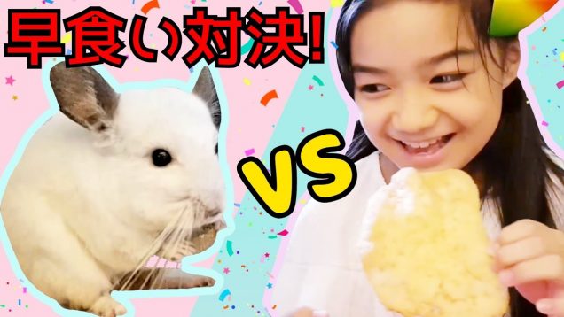 【早食い対決】チンチラ VS ゆいな☆どっちが早くおやつを食べれる!?★Speed Eating