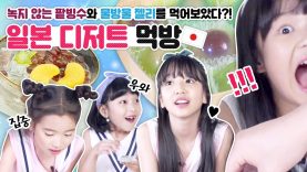 녹지 않는 팥빙수와 물방울 젤리를 먹어보았다?! 일본에서 사온 달다구리 디저트 먹방하기♡ Japanese dessert | 클레버TV