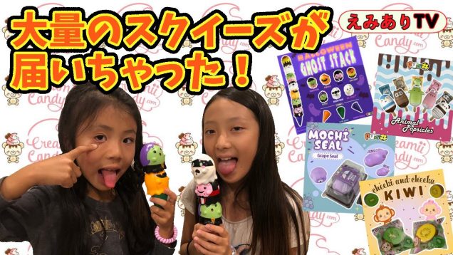 【アメリカ生活】わぉ！巨大なスクイーズボックスが届いたよ！スクイーズソングも歌っちゃう！☆ Huge Squishy Package from Creamii Candy & Puni-Maru!