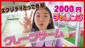 大物狙い【クレーンゲーム】2000円チャレンジ❣　エブリデイとってき屋
