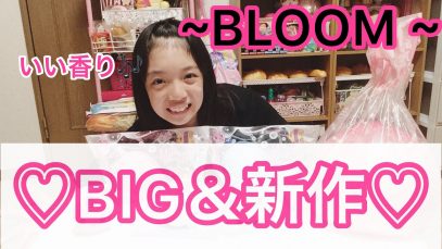【BLOOM】BIG＆新作スクイーズ紹介?