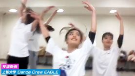 美しい！JDのジャズダンス｜上智大学 Dance Crew EAGLE｜投稿動画
