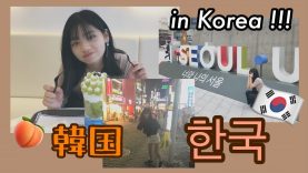 【Vlog】Suzuの韓国旅?