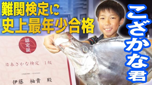 小学生おさかな博士！伊藤柚貴くん！これまでに食べた魚の数が凄すぎる！