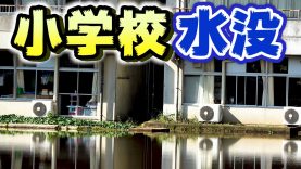 【記録的大雨】小学校が水没しました。川が氾濫し小学校も停電、ついに千葉県が自衛隊に災害派遣要請へ【しほりみチャンネル】