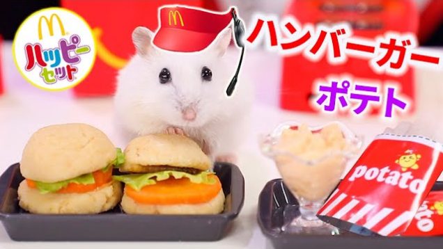 ゆきちゃんにマックのハンバーガーとポテトを作ったよ✨超簡単でリアル！【ハムスター】