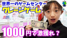 【激取れDAY？】1000円チャレンジ in エブリデイ行田店【ももかチャンネル】