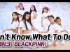 [stage631kids] 키즈댄스 – Don’t Know What To Do  – 블랭핑크 /  #HIGHSTEP