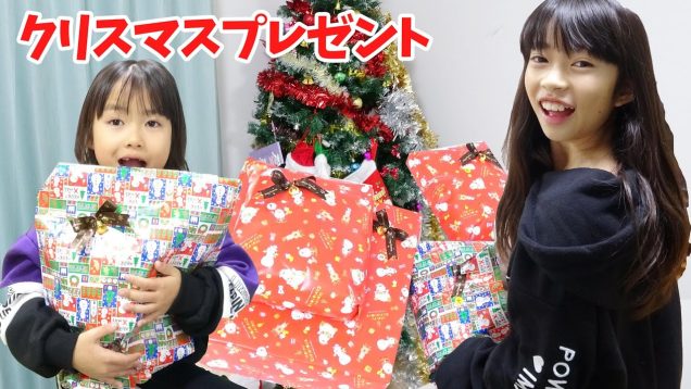 クリスマスプレゼント2019★今年もサンタさんがやってきた！★にゃーにゃちゃんねるnya-nya channel