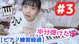 【ピアノ練習経過】#3    やっと半分弾けるようになった!?