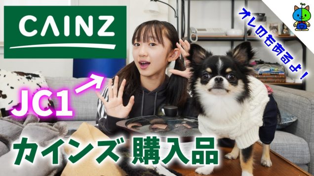 【カインズ】今年最後のCAINZ！中一女子が選んだモノは？？【ももかチャンネル】